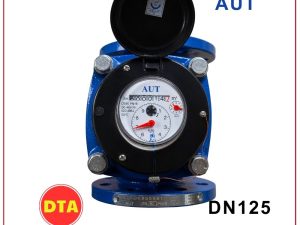 Đồng hồ nước AUT DN125